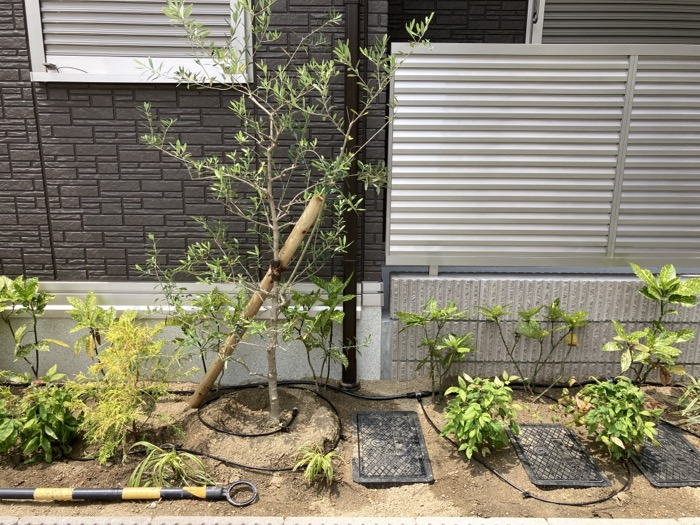 自動灌水システム設置例