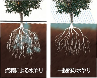 水分浸透の差を表した図