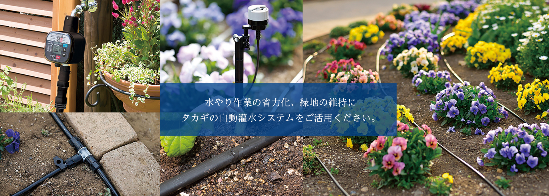 トップ画像